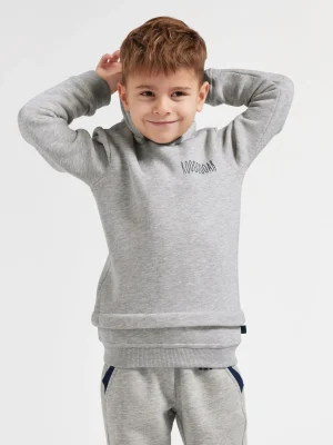 Hot elefanten Felpa con cappuccio Grigio