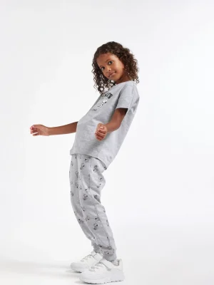 Hot THE PEANUTS Maglietta Grigio